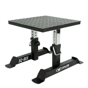 Adjustable Squat Box