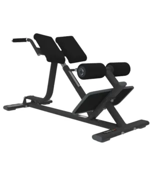Back Extension Bench (Torque Fitness) Commercial Line