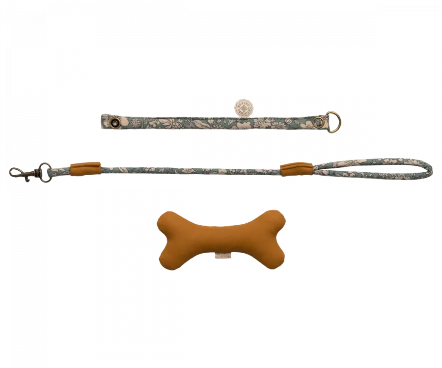 Blue Puppy Accessories