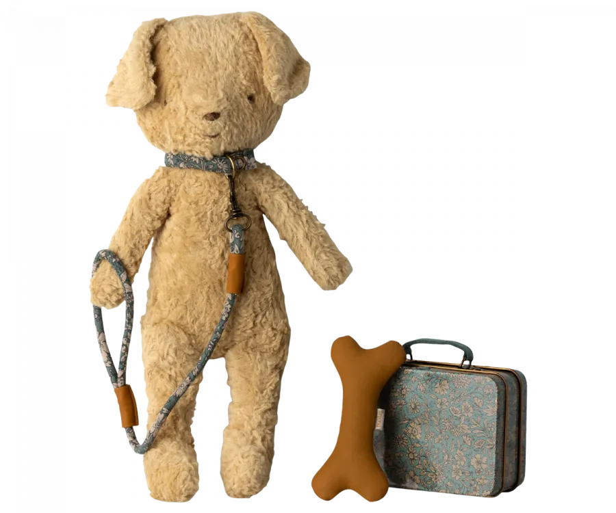 Blue Puppy Accessories
