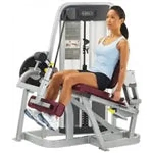 Cybex Eagle Leg Extension