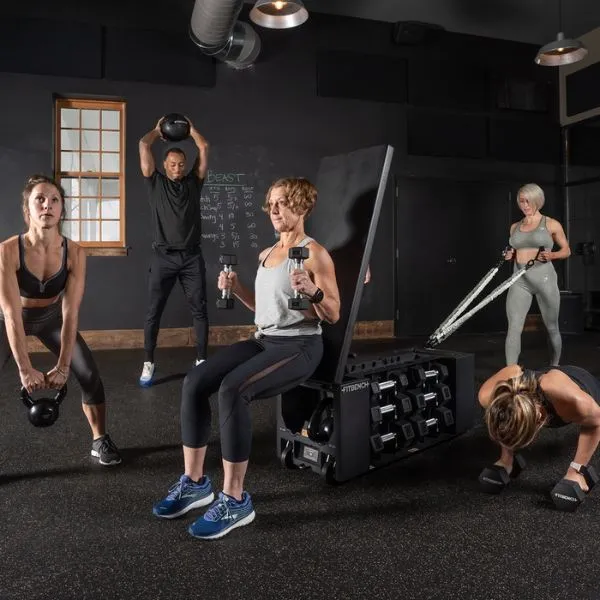FitBench One - All In One Bench With Weights and Storage