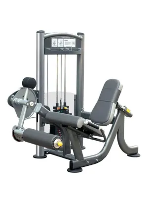 LEG EXTENSION IT9005 200LBS/IT9305