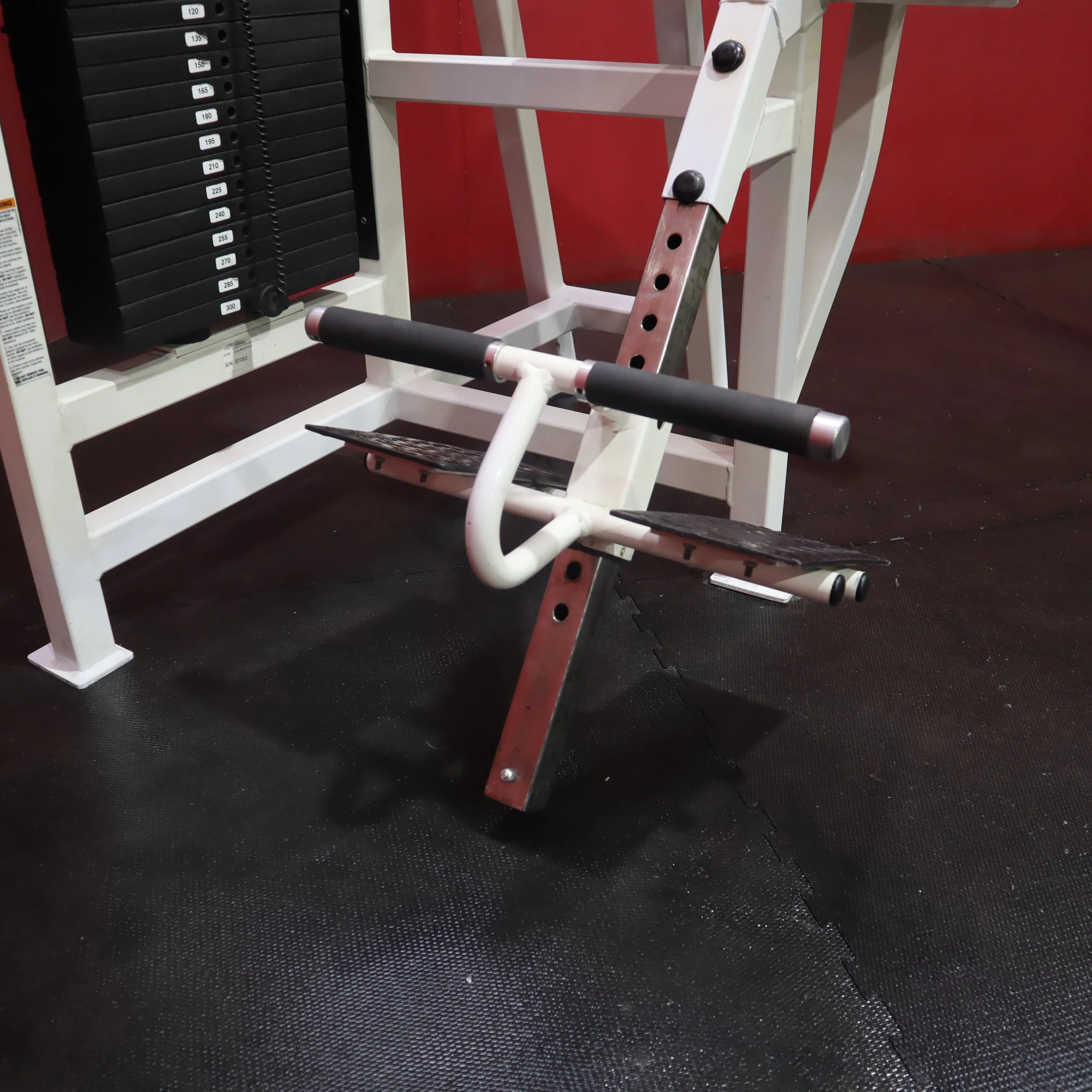 Life Fitness Pro Low Back Extension (Refurbished)