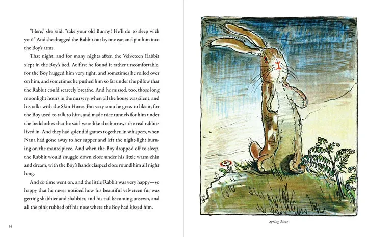 "The Velveteen Rabbit" Book