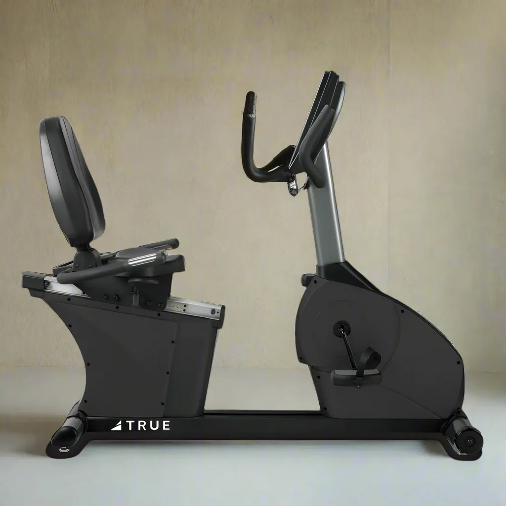 RCS200-19 TRUE RECUMBENT BIKE