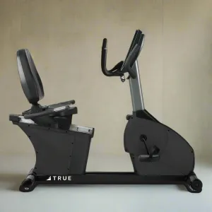 RCS200-19 TRUE RECUMBENT BIKE