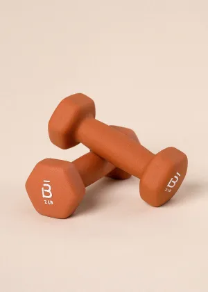 Set of 2 lb Weights