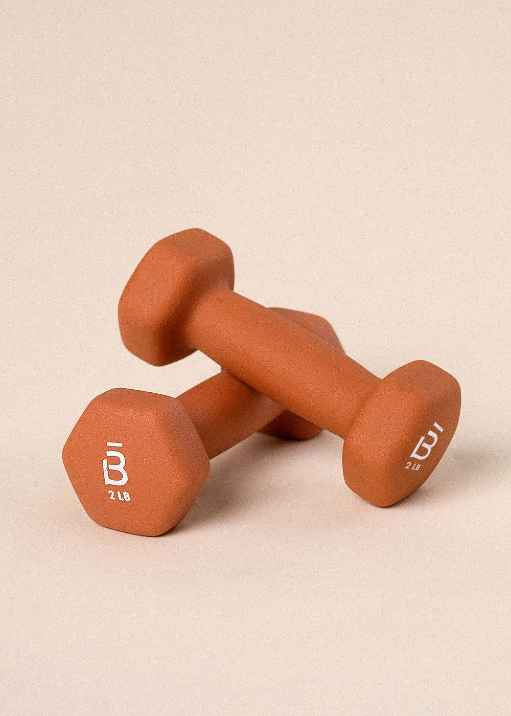 Set of 2 lb Weights