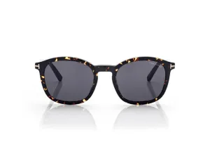 Tom Ford Jayson Sunglasses in Dark Havana