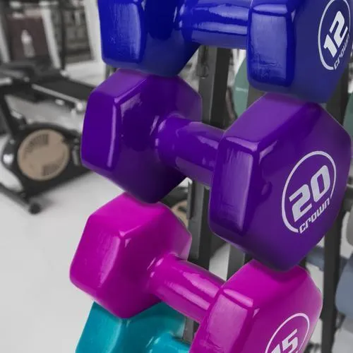 Vinyl Hex Hand Weights, 10 LB